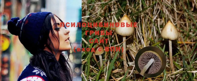 Псилоцибиновые грибы MAGIC MUSHROOMS  Нижнекамск 